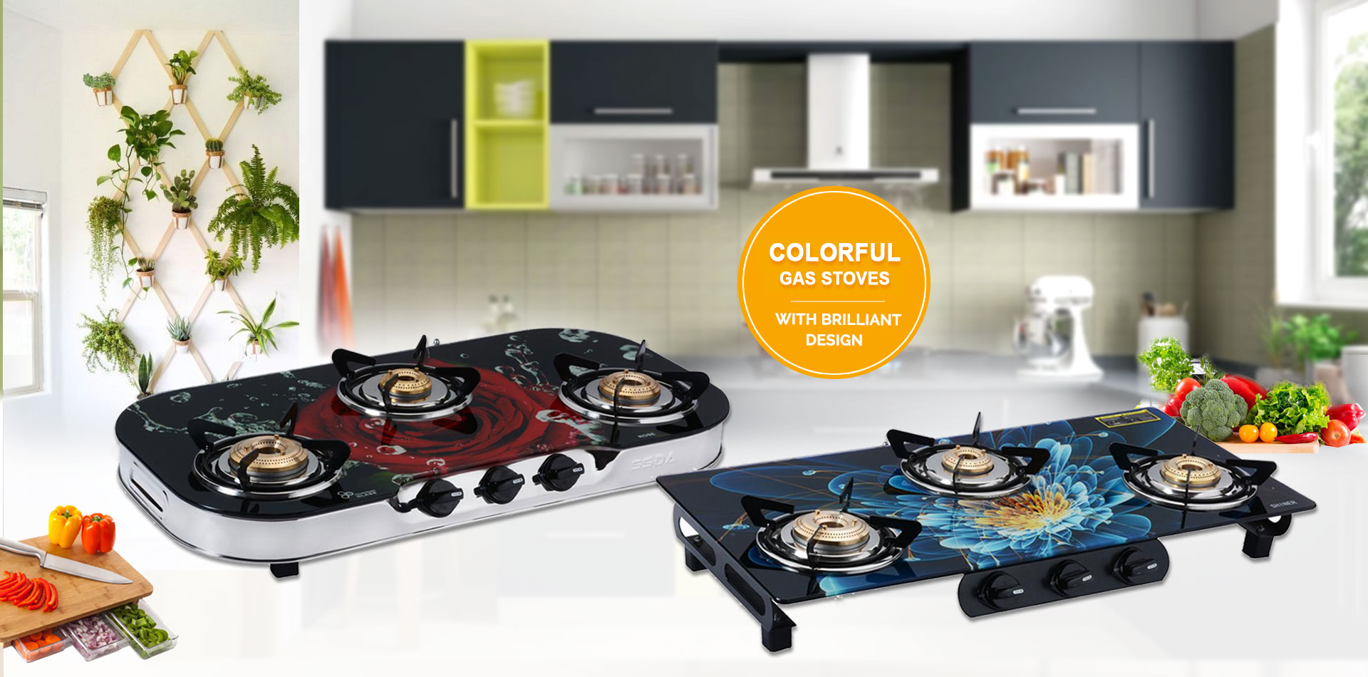 Single Burner Gas Stove Manufacturers